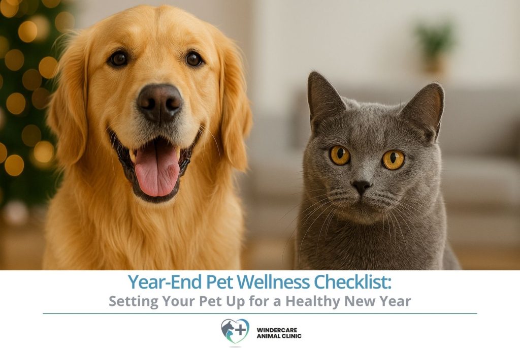Year-End Pet Wellness Checklist Setting Your Pet Up for a Healthy New Year