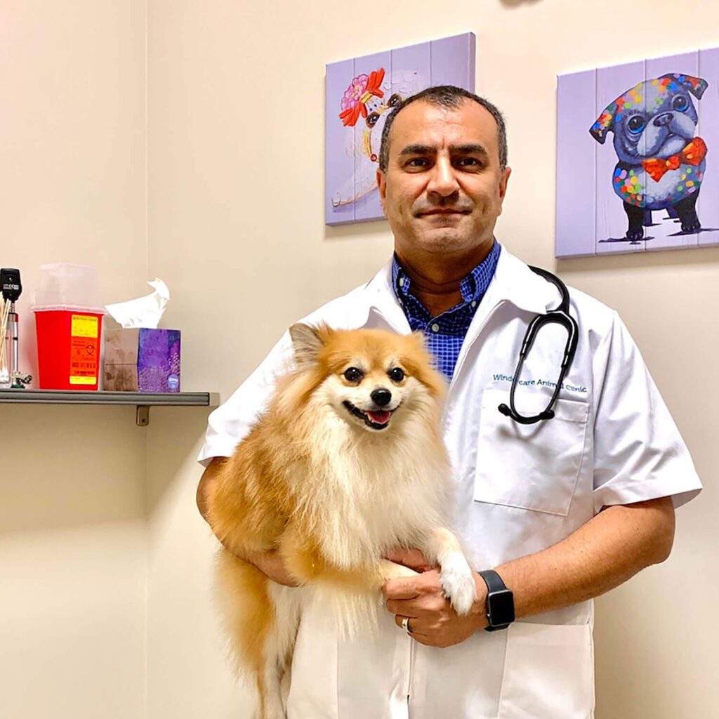 male veterinarian holding a dog