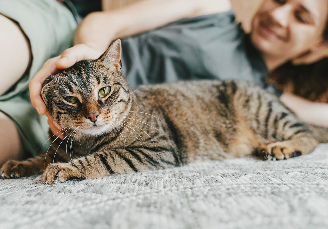 woman petting her tabby cat