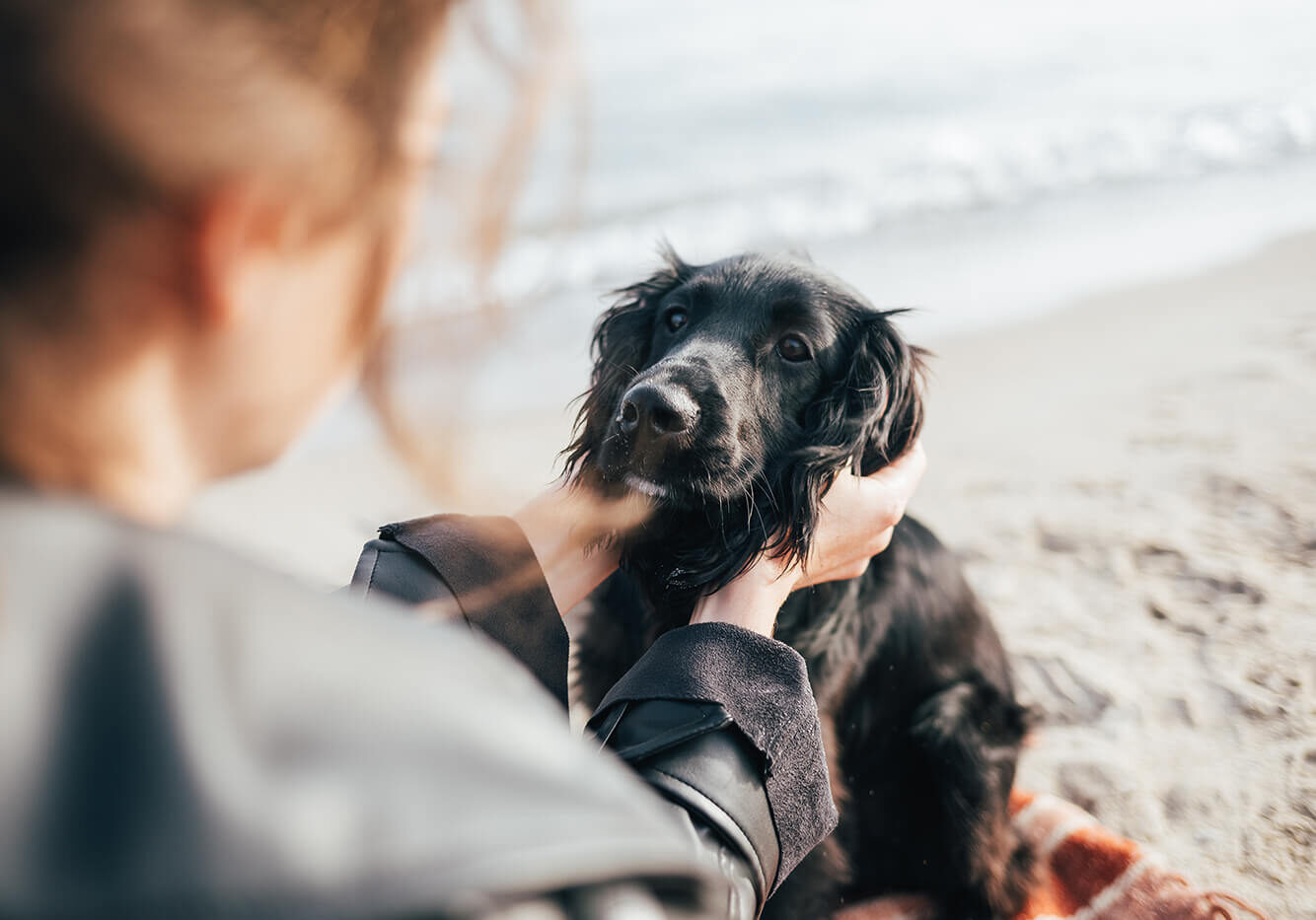 black dog with woman on beach